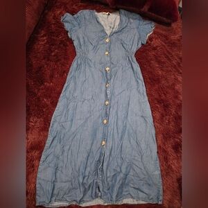 Blue Button-Down Denim Dress